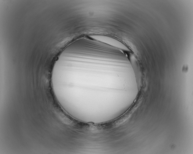 X0000090760305200708172053