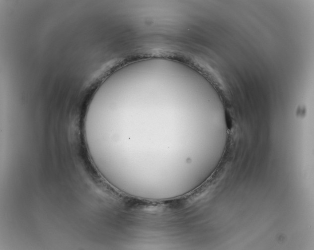 X0000090760306200708172053