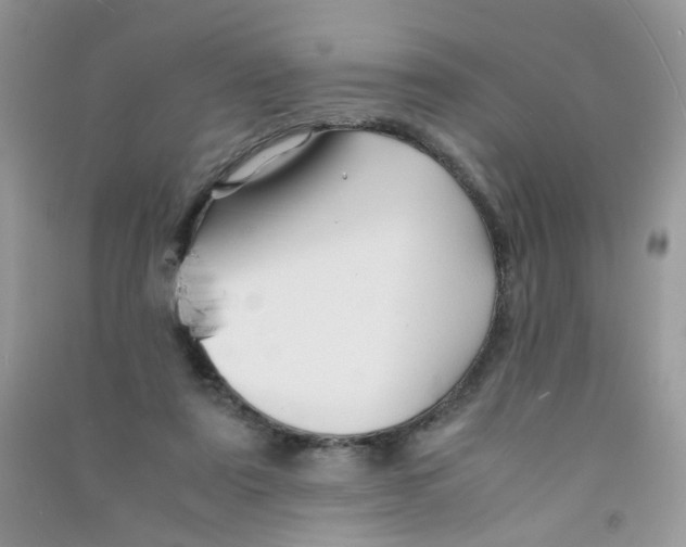 X0000090760307200708172053