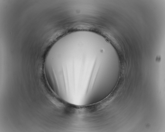 X0000090760309200708172053