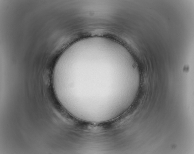 X0000090760311200708172053