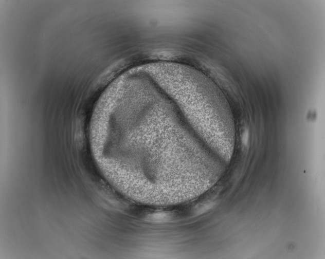 X0000090760312200708172053