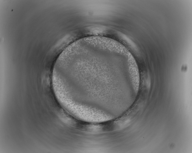 X0000090760313200708172053