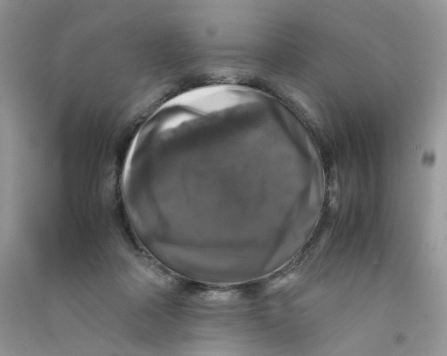 X0000090760314200708172053