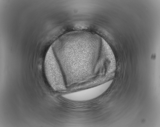 X0000090760315200708172053