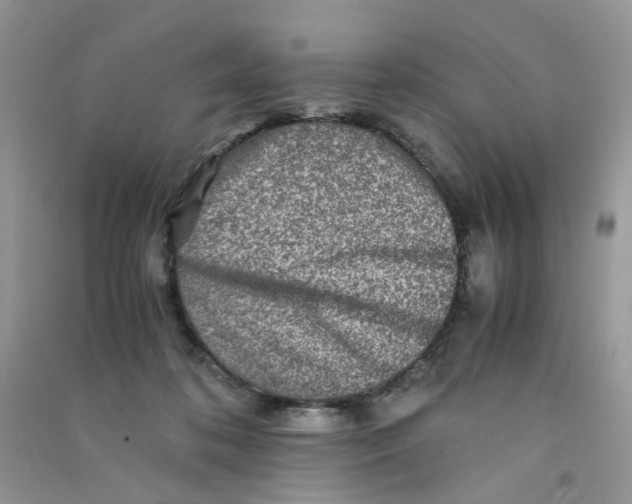 X0000090760316200708172053