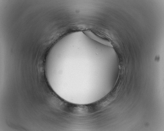 X0000090760317200708172053