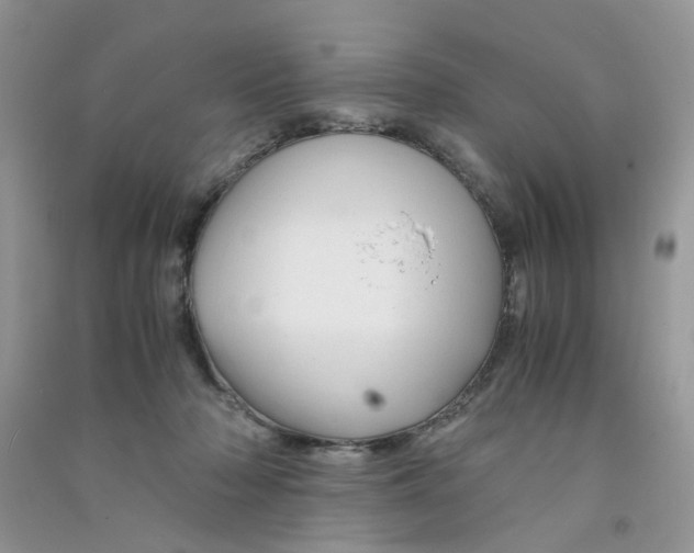 X0000090760318200708172053