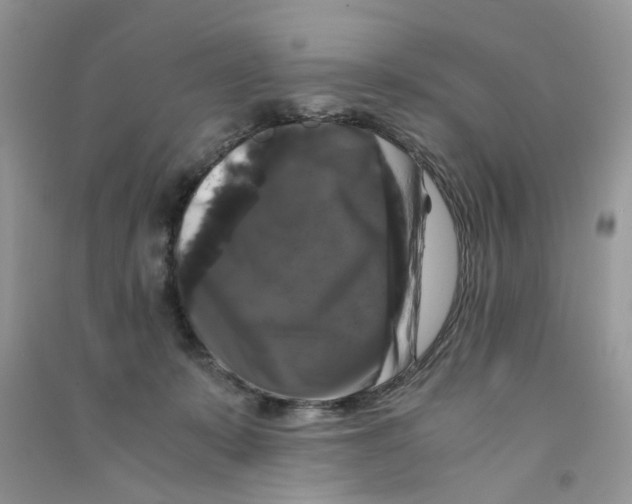 X0000090760319200708172053