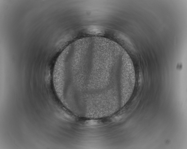 X0000090760320200708172053