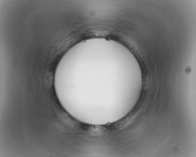 X0000090760321200708172053