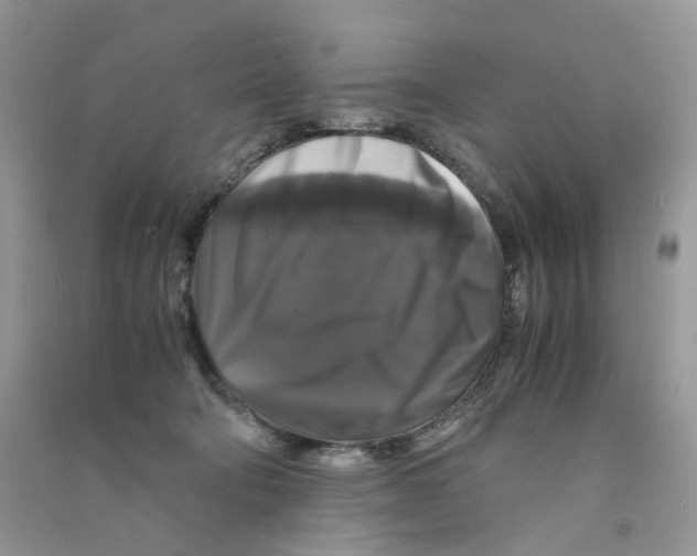 X0000090760322200708172053