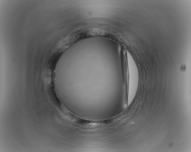 X0000090760323200708172053