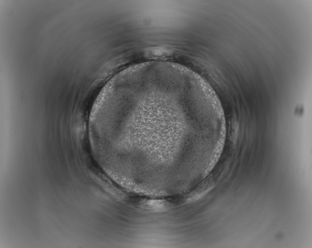 X0000090760324200708172053