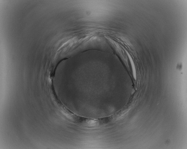 X0000090760325200708172053