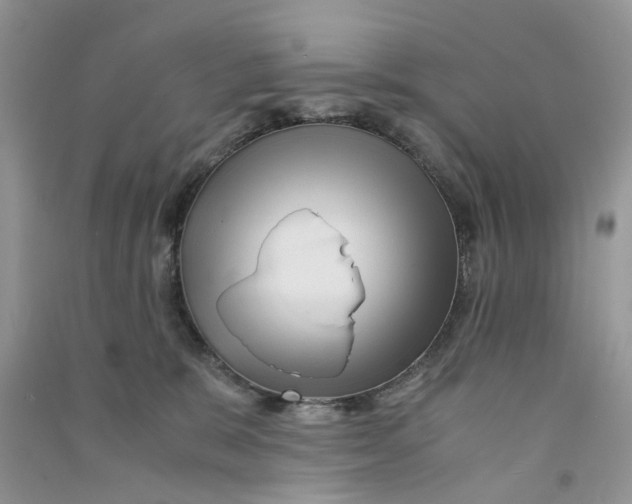 X0000090760327200708172053