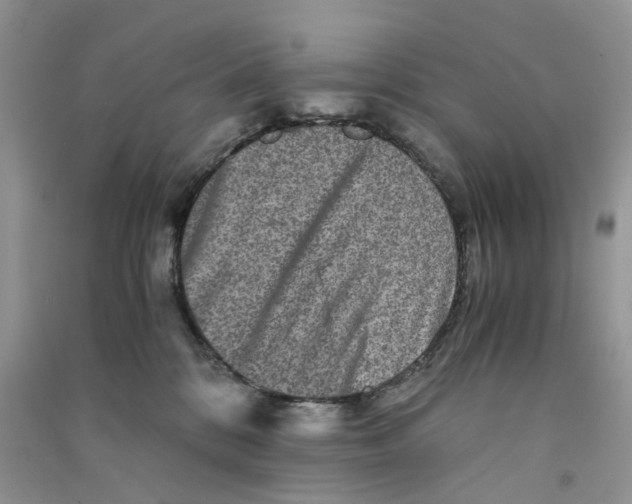 X0000090760328200708172053