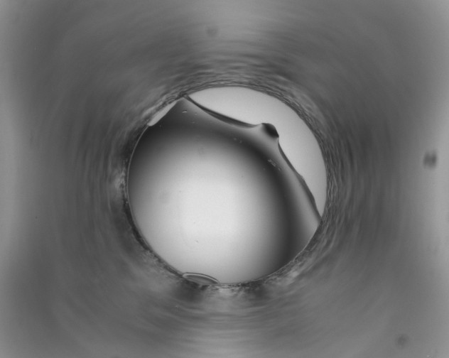 X0000090760329200708172053