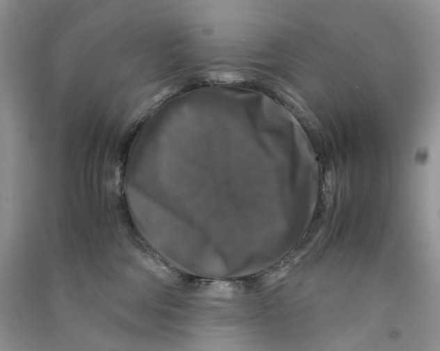 X0000090760330200708172053