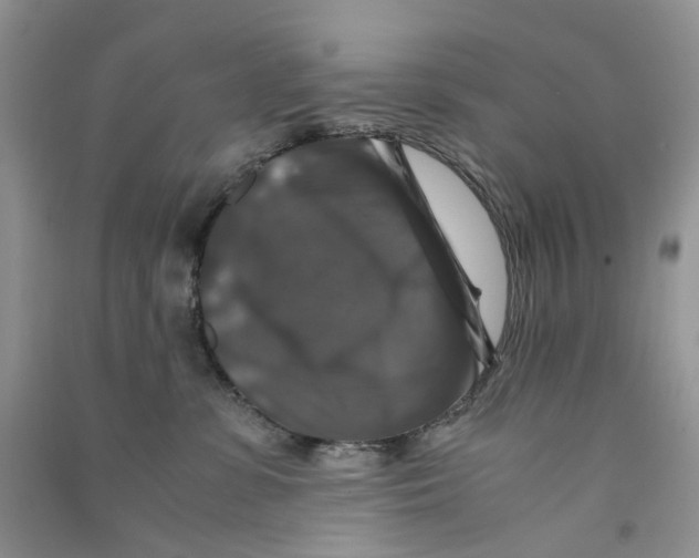 X0000090760331200708172053