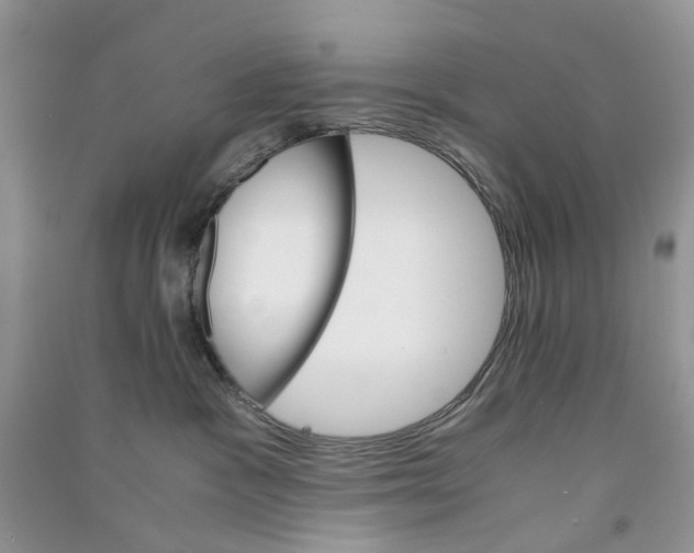 X0000090760333200708172053