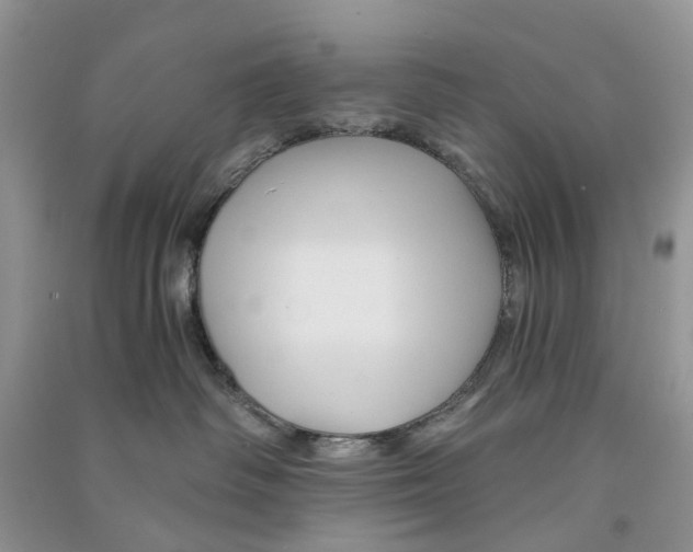 X0000090760334200708172053