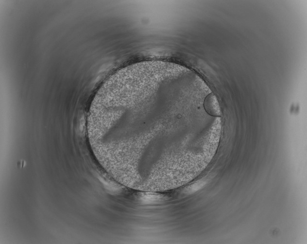 X0000090760336200708172053