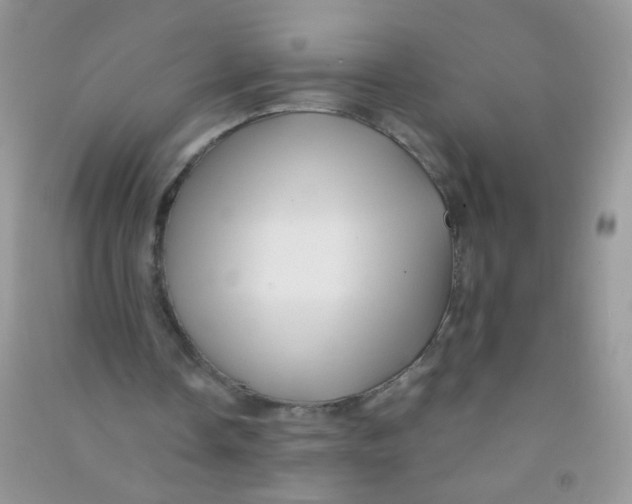 X0000090760338200708172052