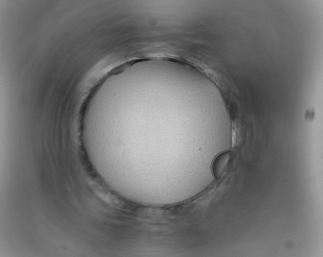 X0000090760339200708172052