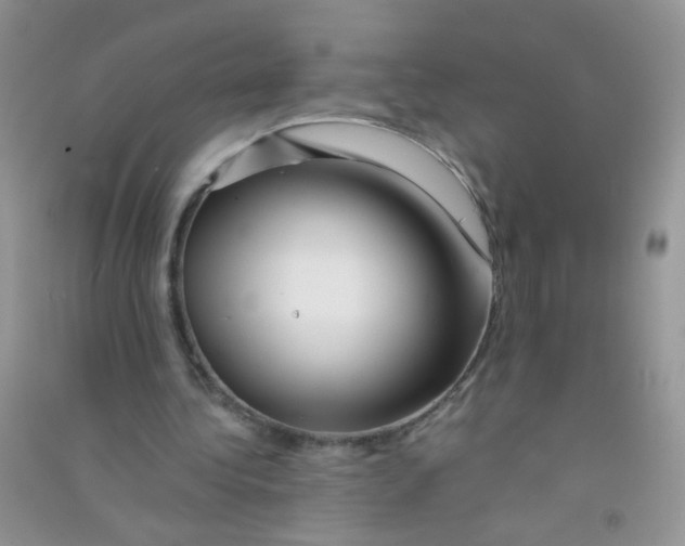 X0000090760340200708172052