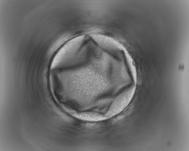 X0000090760341200708172052