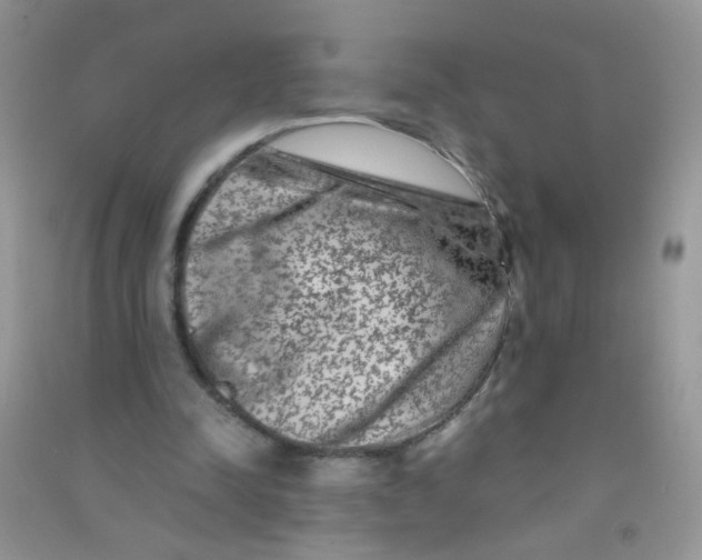 X0000090760342200708172052