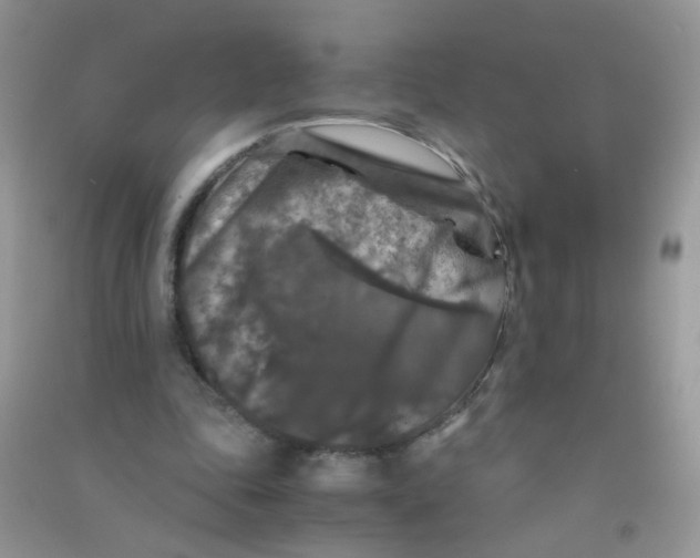 X0000090760343200708172052