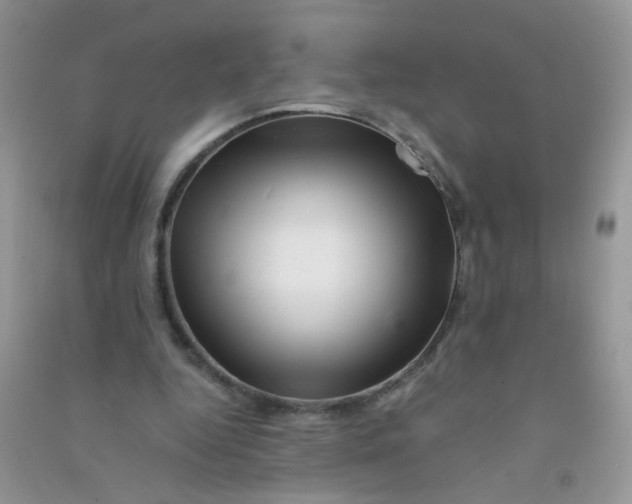 X0000090760344200708172052