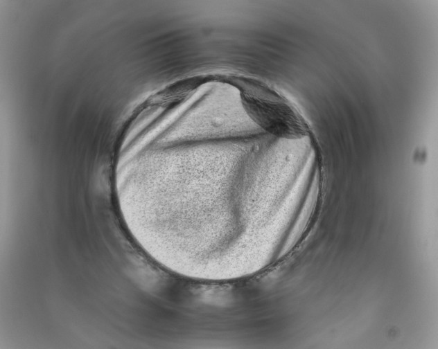 X0000090760345200708172052