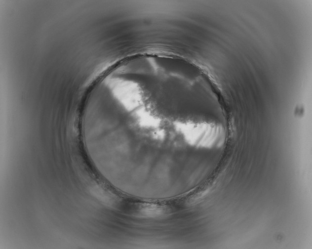 X0000090760347200708172052