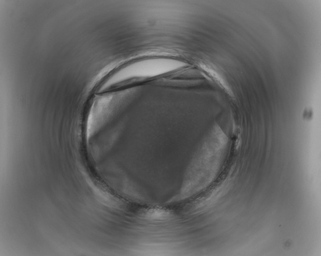 X0000090760348200708172052