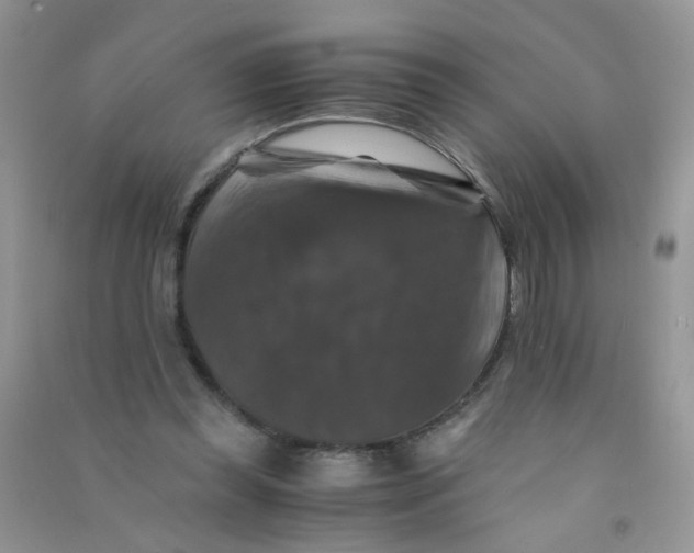 X0000090760349200708172052