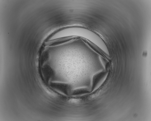 X0000090760350200708172052