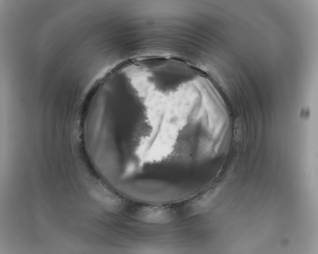 X0000090760351200708172052