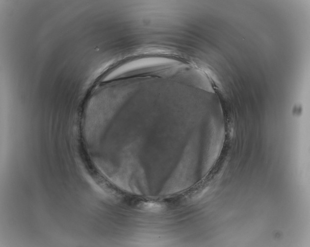 X0000090760352200708172052