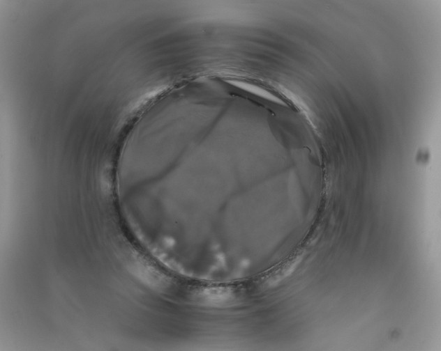 X0000090760353200708172052