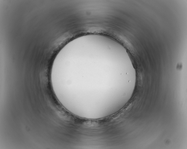 X0000090760354200708172052