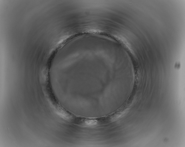 X0000090760355200708172052