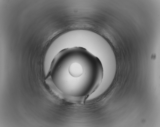 X0000090760356200708172052
