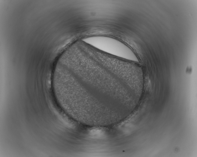 X0000090760358200708172052