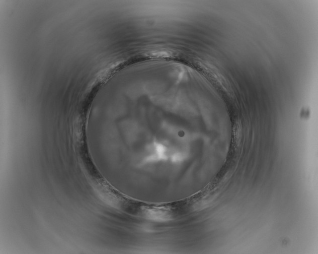 X0000090760359200708172052