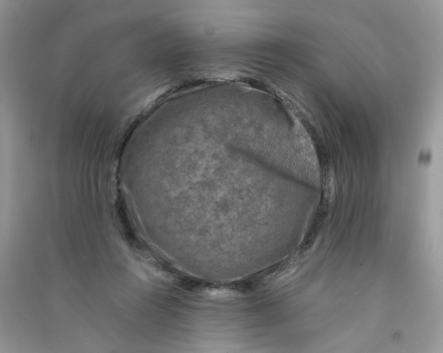 X0000090760360200708172052