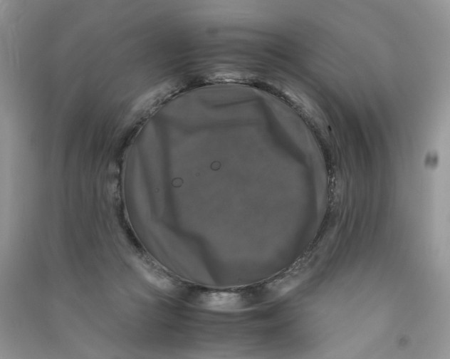 X0000090760361200708172052