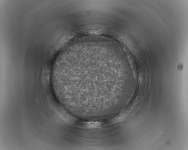 X0000090760363200708172052